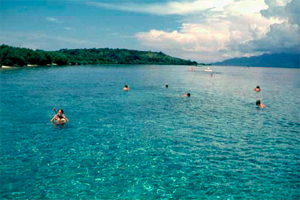 snorkling di pulau menjangan bali