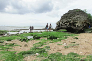 pemandangan pantai padang padang bali