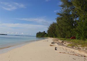 Dodola Island indonesia with white sand