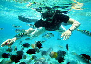 best indonesia diving bunaken