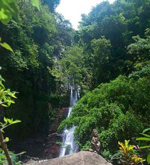 Les Waterfall At Buleleng