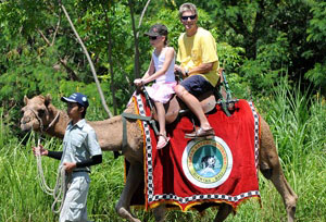 riding camel bali safari and marine park