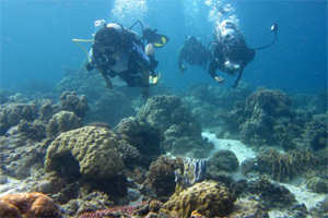diving at kapoposang island